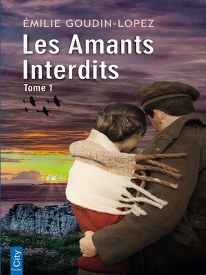 cover image of Les amants interdits T1